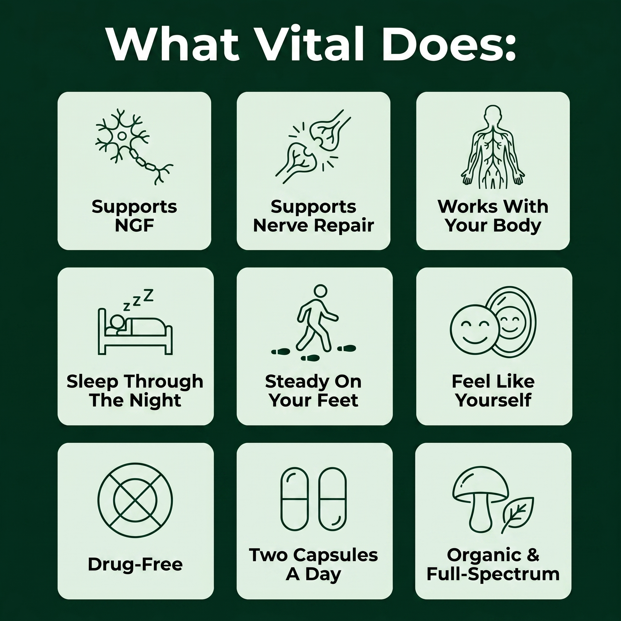 Vital® Lion's Mane Mushroom